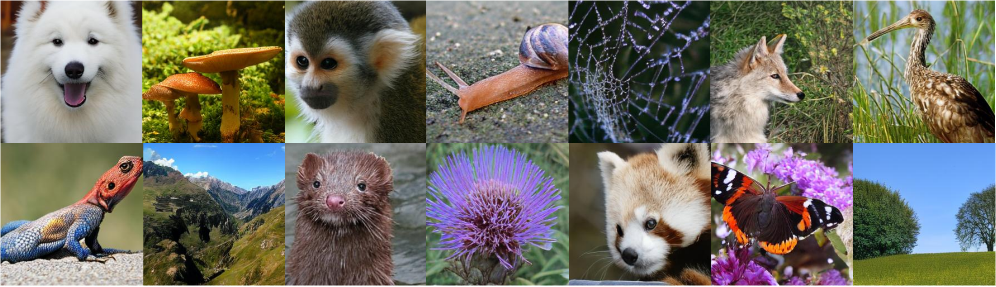 Generated samples from Mirai